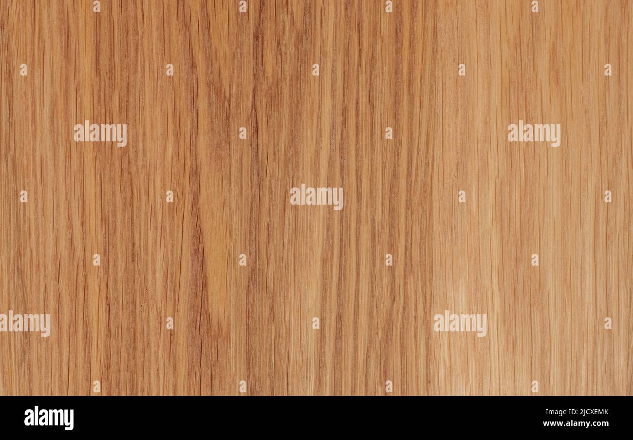 Struttura di legno di quercia con grana naturale Foto Stock