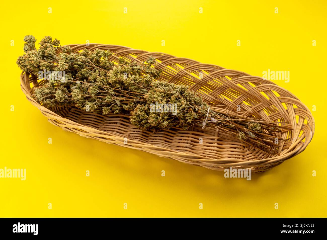Mazzo di origano secco in cesto di vimini isolato su sfondo giallo, erbe aromatiche tipiche per la cucina e per la pizza Foto Stock