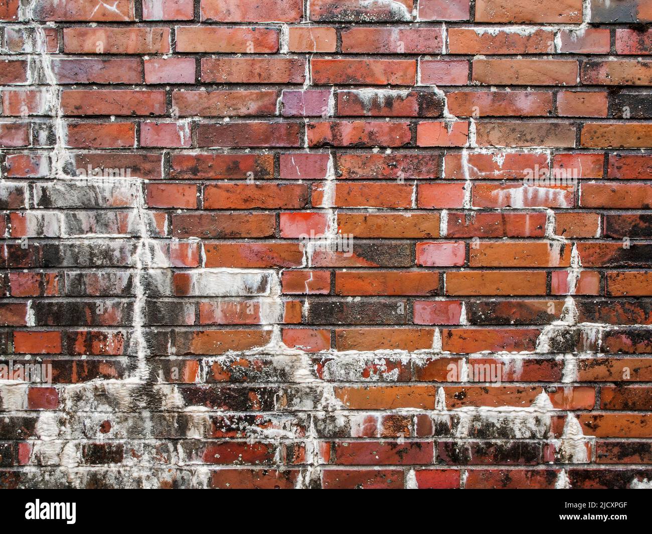 Vista completa di una parete di mattoni imbevuta di pioggia con efflorescenza. Foto Stock