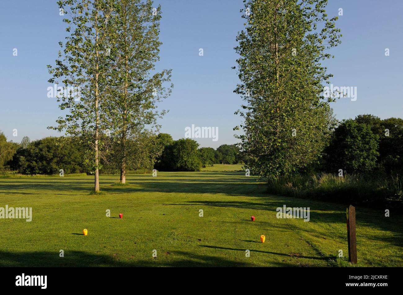 Vista del 14th T verso il Fairway, Horne Park Golf Club, Horne, South Godstone, Surrey, Inghilterra Foto Stock