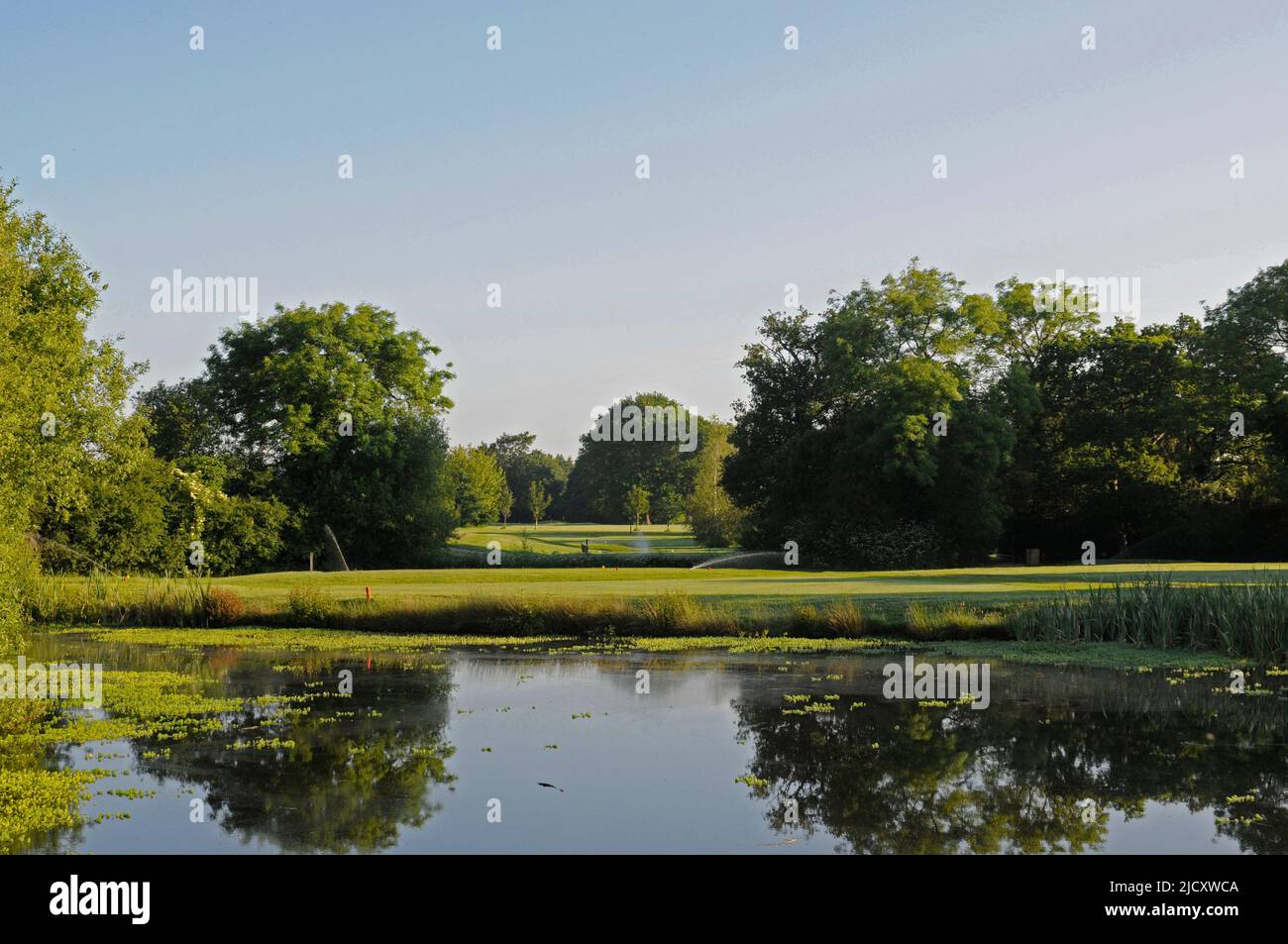 Vista di mattina presto indietro sopra lo stagno su 4th Hole verso il Tee, Horne Park Golf Club, Horne, South Godstone, Surrey, Inghilterra Foto Stock