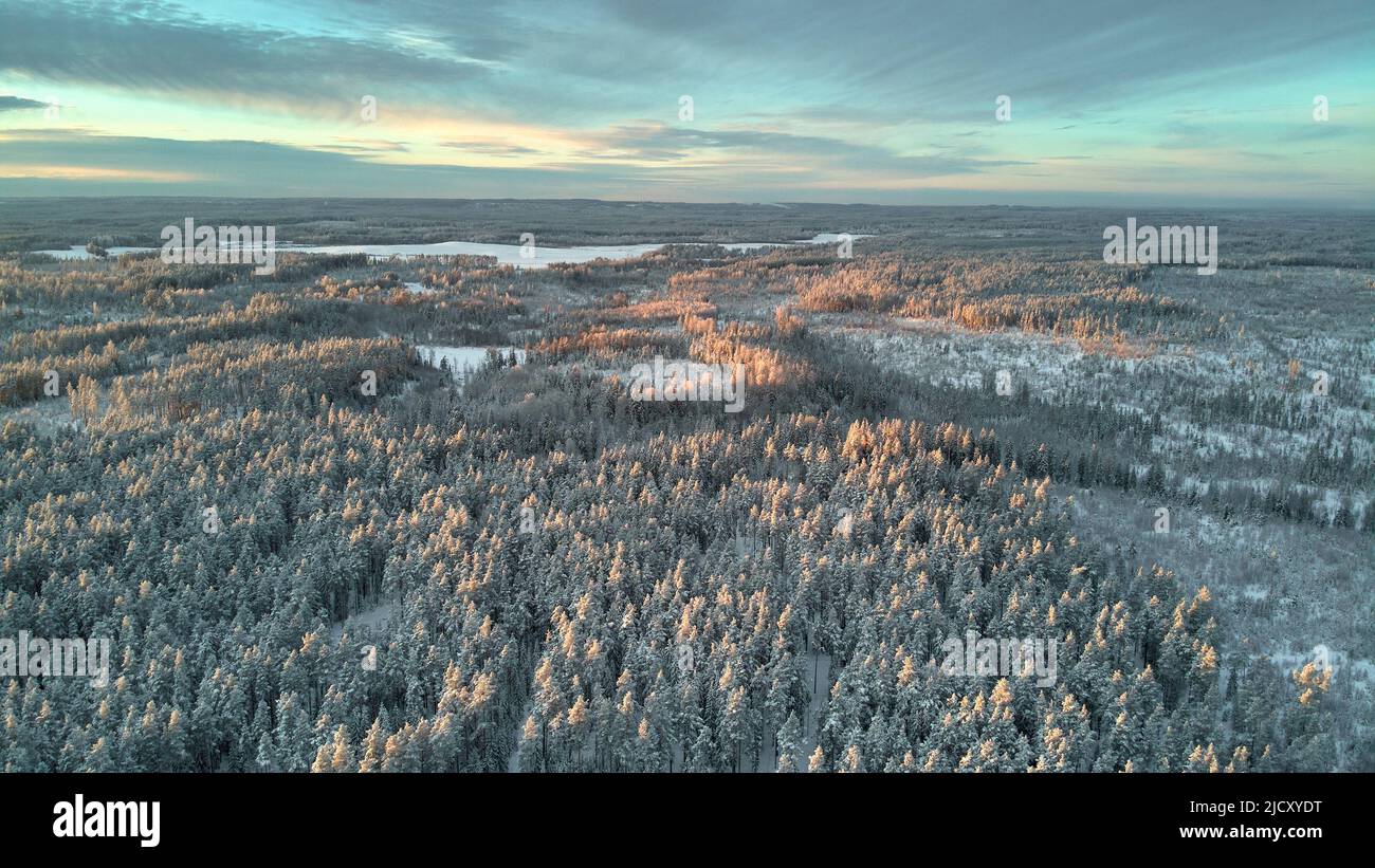 Bellissimi raggi del sole in inverno che toccano le cime degli alberi Foto Stock