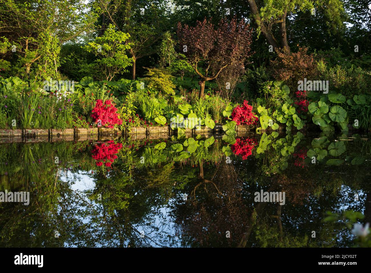 Giardino d'acqua di Monet, Givy, Normandia, Francia Foto Stock