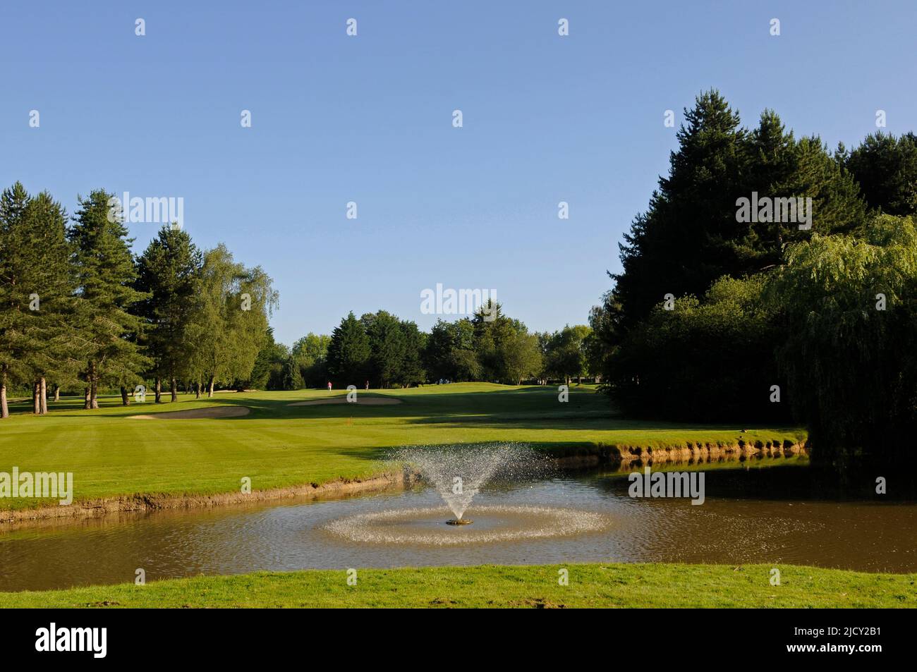 Vista di mattina presto su Pond to 4th Green, Bentley Golf Club, Brentwood, Essex, Inghilterra Foto Stock