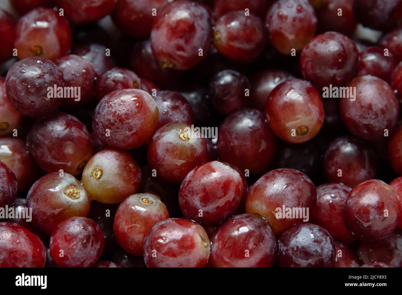 Mazzo di uve rosse, senza vapore Foto Stock