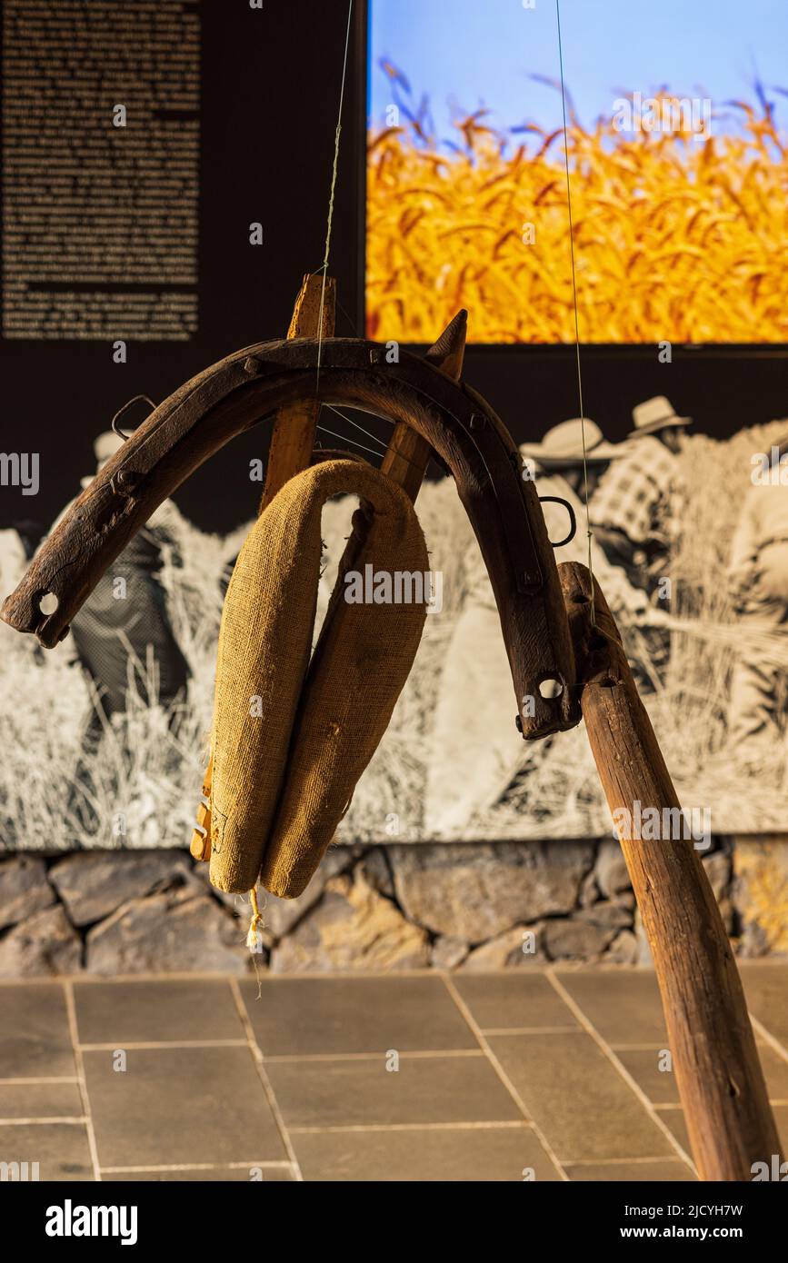 Imbracatura per un mulo o un cavallo come parte di una esposizione multimediale all'Eco Museum che mostra manufatti e mostre dello stile di vita agricolo e rurale Foto Stock