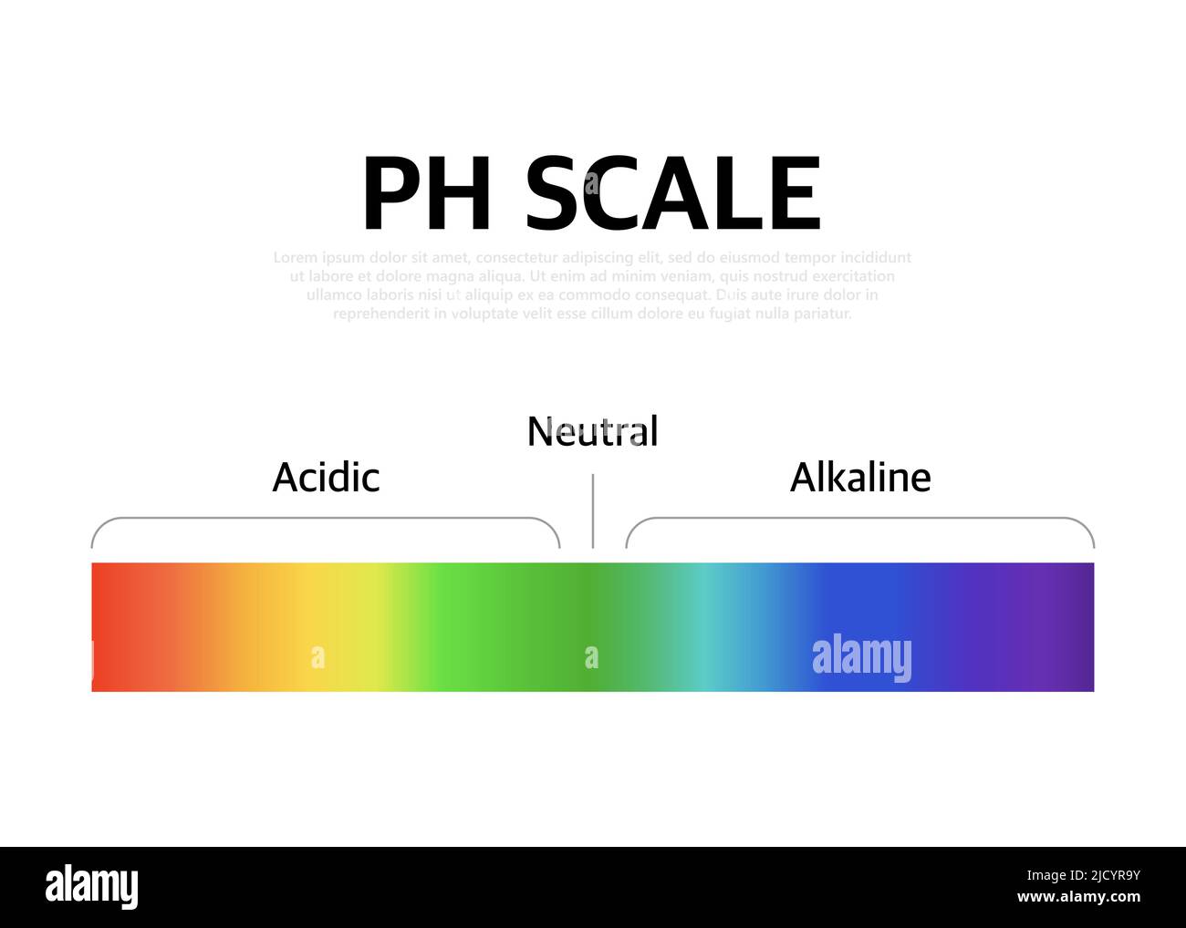 Diagramma grafico a colori per ph dell'indicatore universale della scala pH. Illustrazione vettoriale con scala ph. Illustrazione Vettoriale