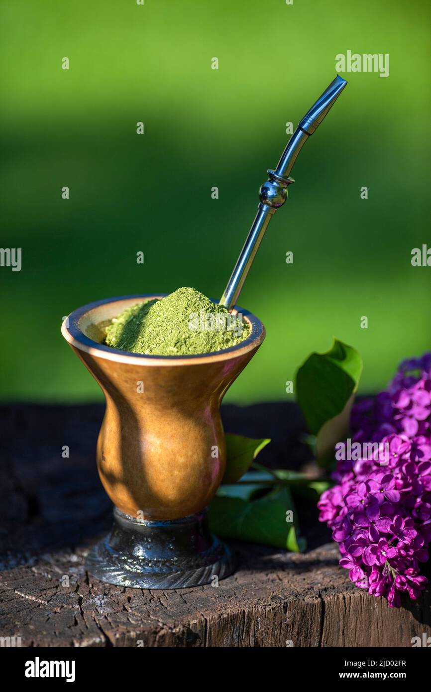 iChimarrão, un tradizionale tè brasiliano yerba mate. Herba mate, chimarrão o cimarron – è uno dei drink più popolari in Sud America Foto Stock