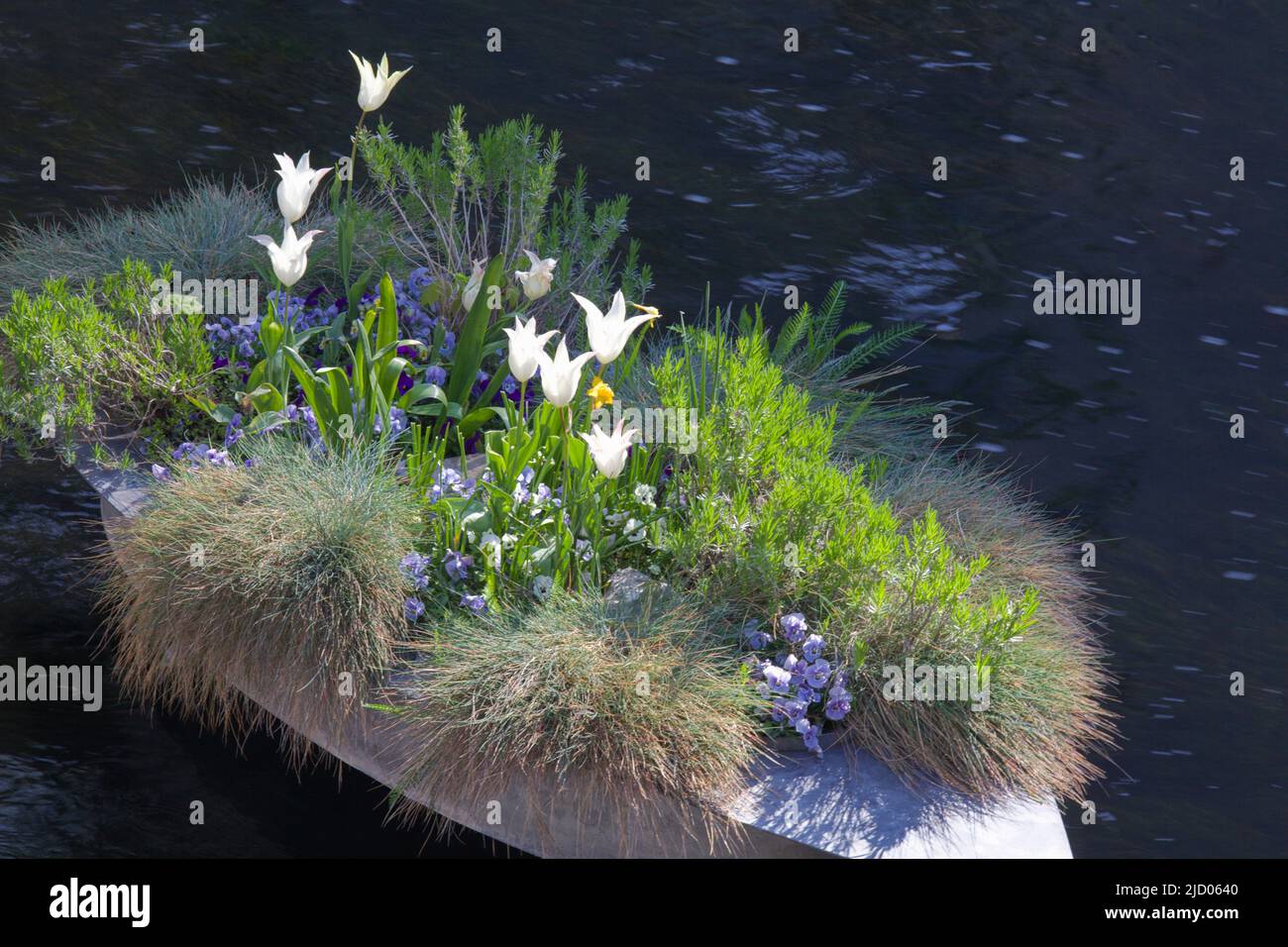 Germania, Turingia, Erfurt, fiume Gera, barca di fiori, Foto Stock