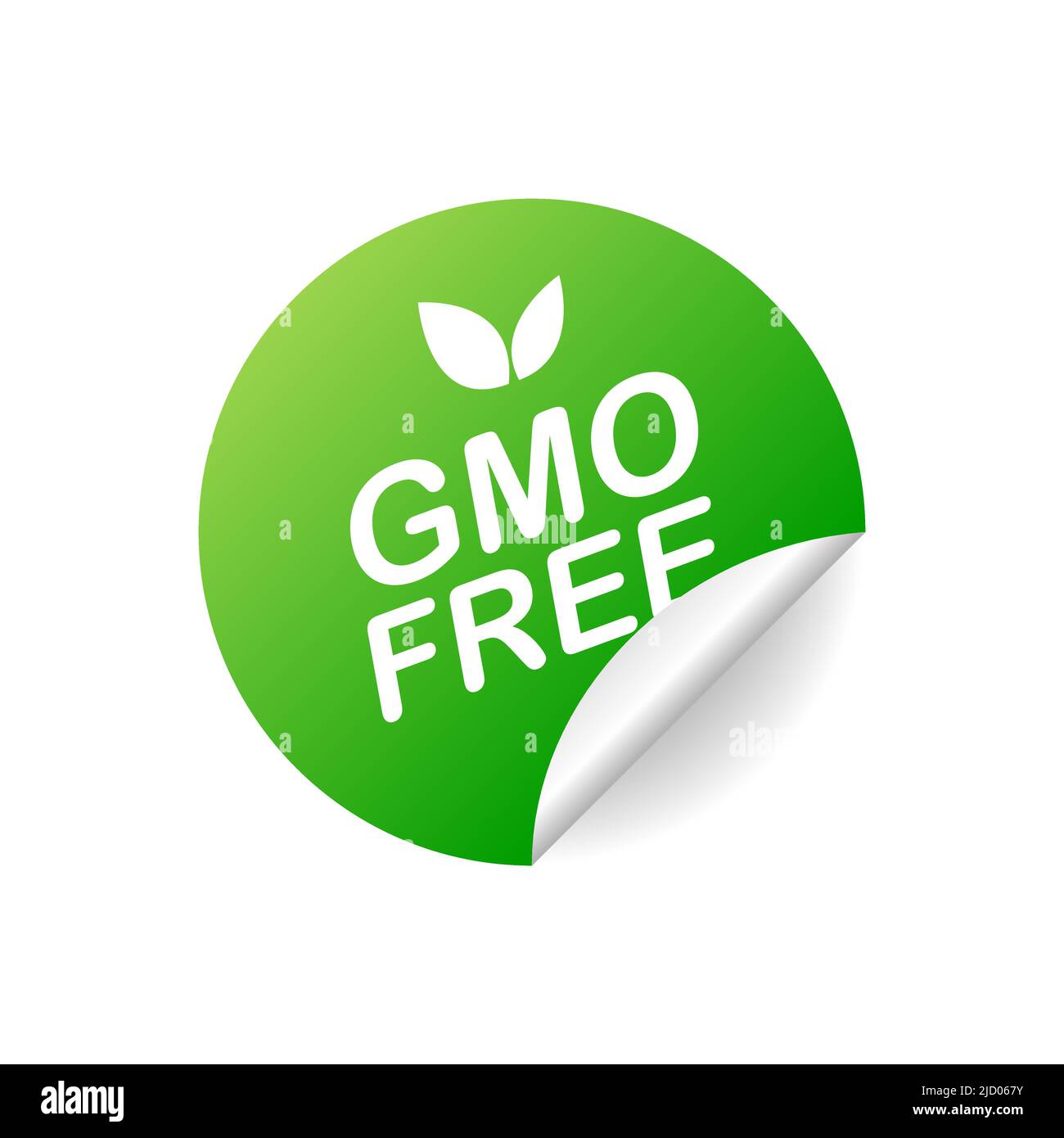 Senza OGM. Badge verde realistico. Pubblicità dei prodotti. Illustrazione vettoriale. Illustrazione Vettoriale