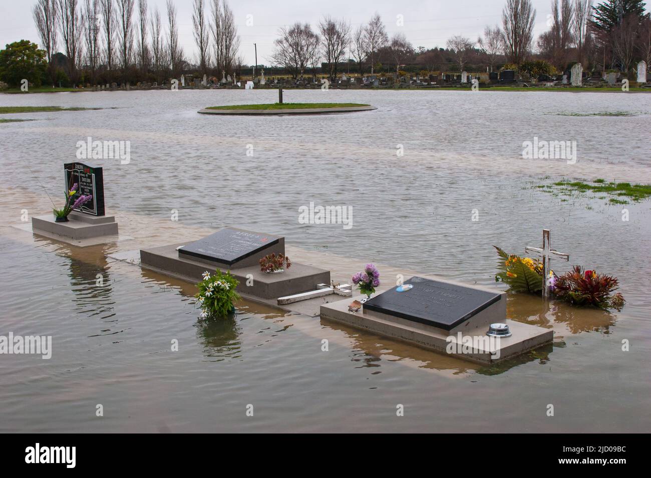 Uno sguardo alla vita in Nuova Zelanda. Allagamento. Nulla è sacro durante un'alluvione. Foto Stock