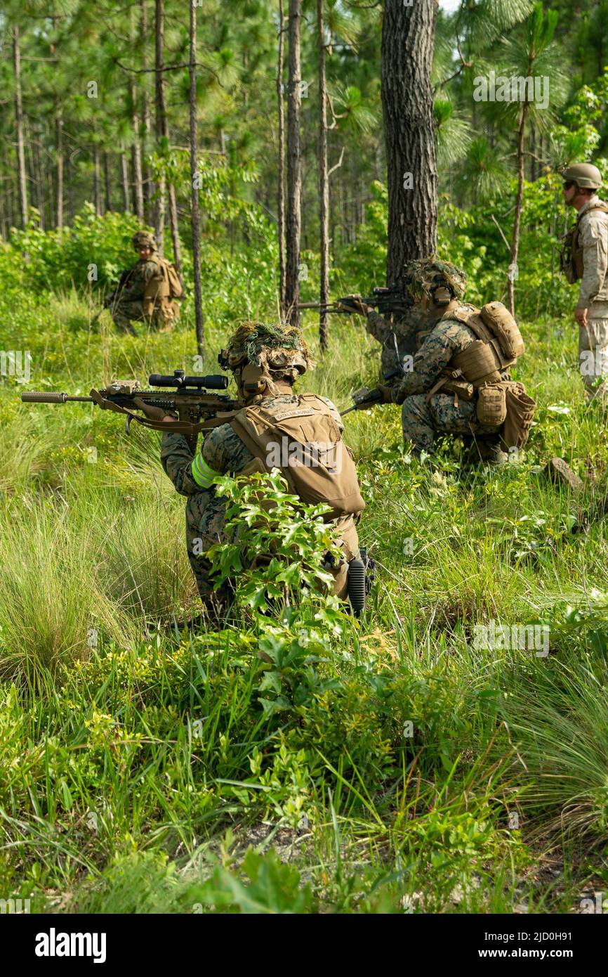 I Marines degli Stati Uniti con 1st battaglione, 2D Regiment della marina, 2D Divisione della marina, conducono una pattuglia durante una valutazione di preparazione di combattimento del corpo della marina su Camp Lejeune, Carolina del Nord, 14 giugno 2022. Questo tipo di evoluzione formativa è un evento culminante progettato per valutare formalmente la prontezza di combattimento e le capacità operative di un'unità. (STATI UNITI Foto del corpo marino di Lance CPL. Sarah Pysher) Foto Stock