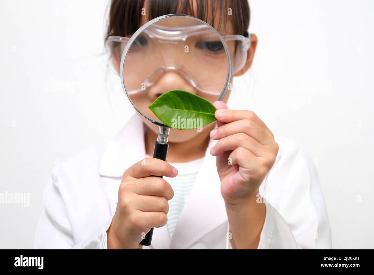 Ritratto di una bambina in occhiali con una lente d'ingrandimento guardando  le foglie in ricercatore o uniforme scientifica su sfondo bianco. Poco di  stato Foto stock - Alamy