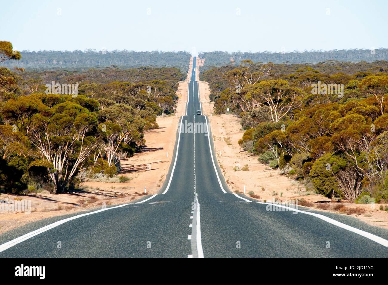 Eyre Highway - Australia Occidentale Foto Stock