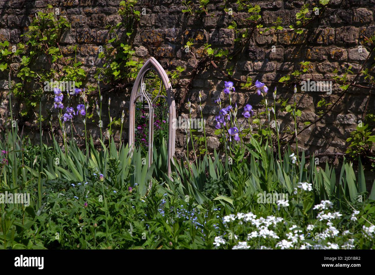 specchio gotico ad arco in giardino di primavera contro muro di pietra con fiori viola iris in giardino inglese, Inghilterra Foto Stock