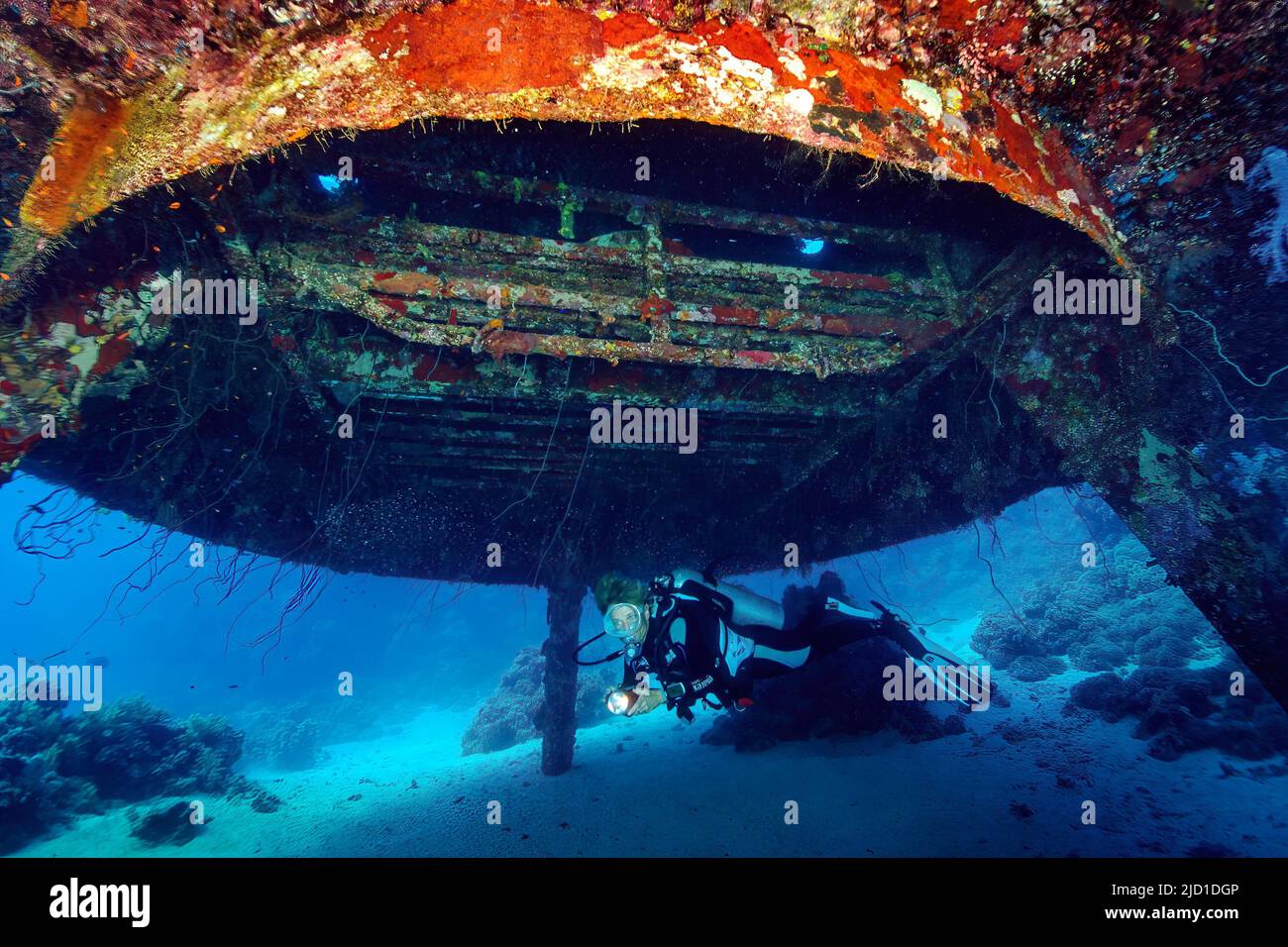 Subacqueo con lampada subacquea che nuota sotto la casa subacquea di Jacques-Yves Cousteau da insediamento subacqueo Precontinente II dal 1963, Mar Rosso Foto Stock