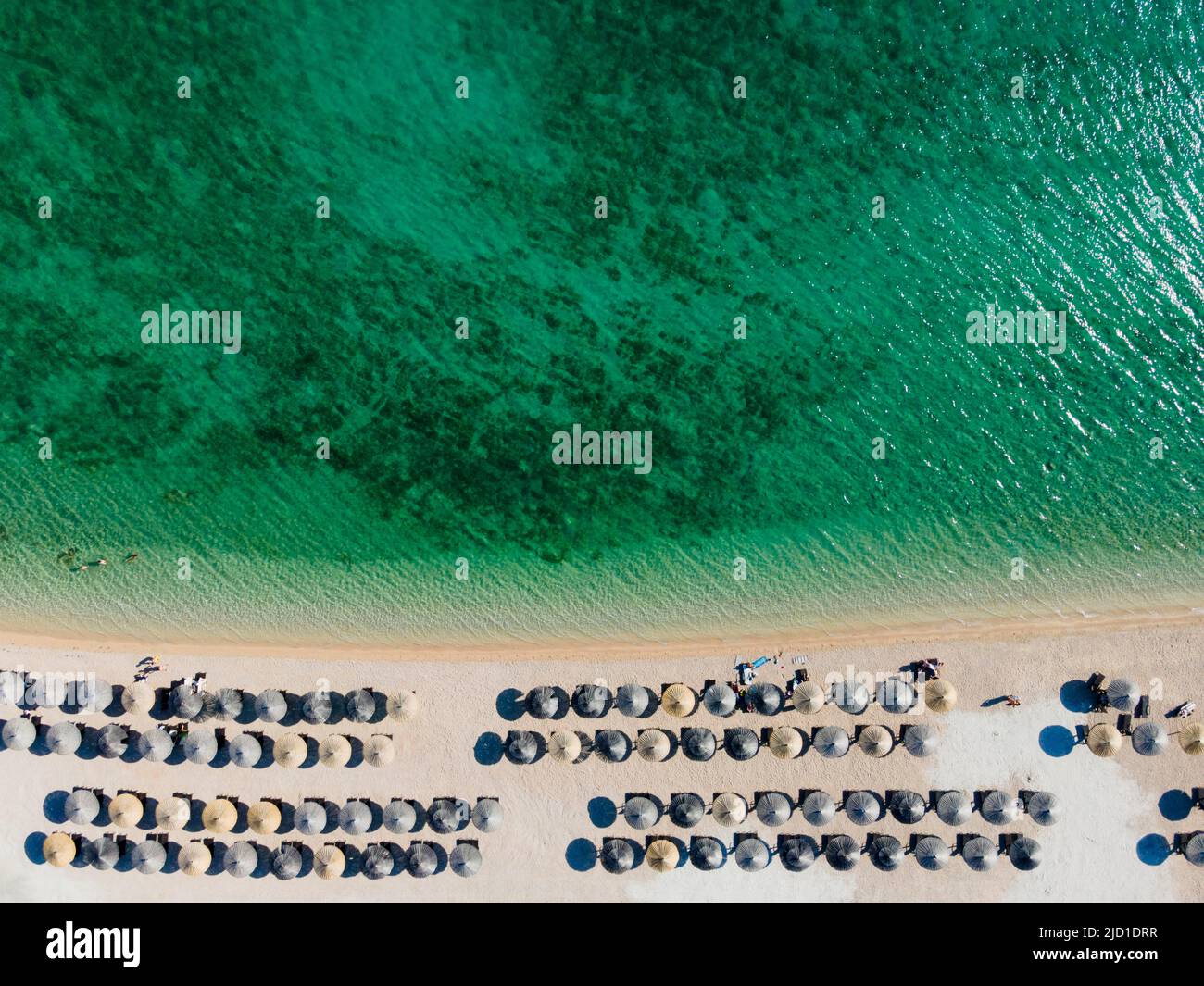 Colpo di drone, ombrelloni a Spiaggia Bianca, Sibenik, Sibenik-Knin, Dalmazia, Croazia Foto Stock