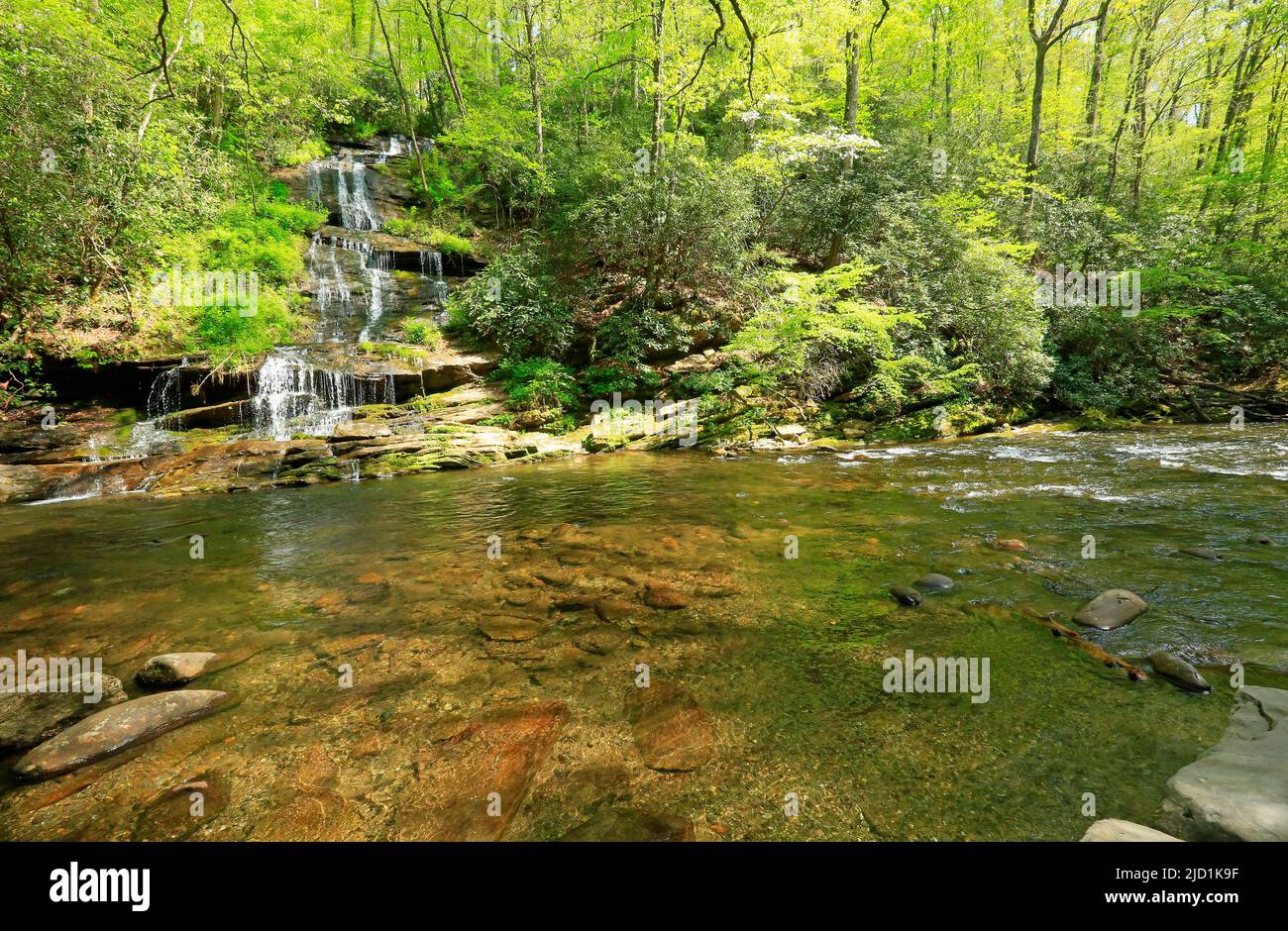 Paesaggio con Tom Branch Falls - Carolina del Nord Foto Stock