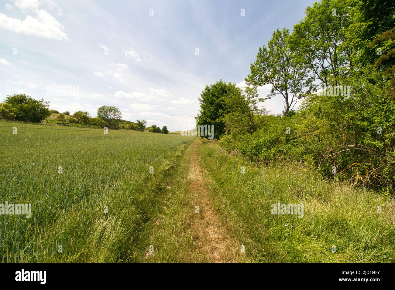 Un percorso polveroso intorno al campo in primavera sotto il cielo blu con le nuvole. Foto Stock