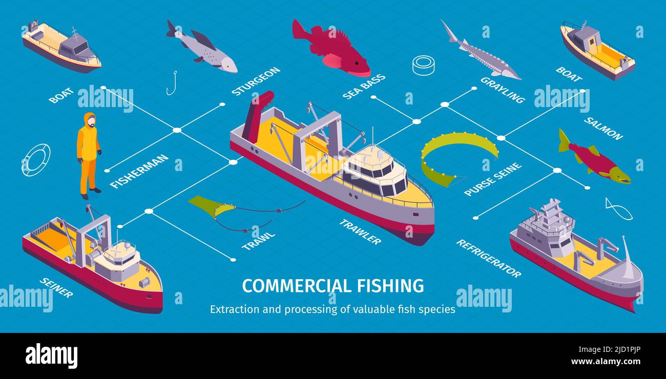 Infografica isometrica sulla pesca commerciale con diagramma di flusso di immagini isolate delle imbarcazioni pesca a strascico e didascalie di testo modificabili illustrazione vettoriale Illustrazione Vettoriale