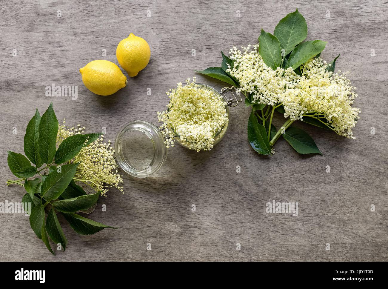 Classico elmflower ricetta cordiale con fiori di sambuco selvaggi e succo di limone fresco. La base facile per limonate estive, bevande e anche bak Foto Stock