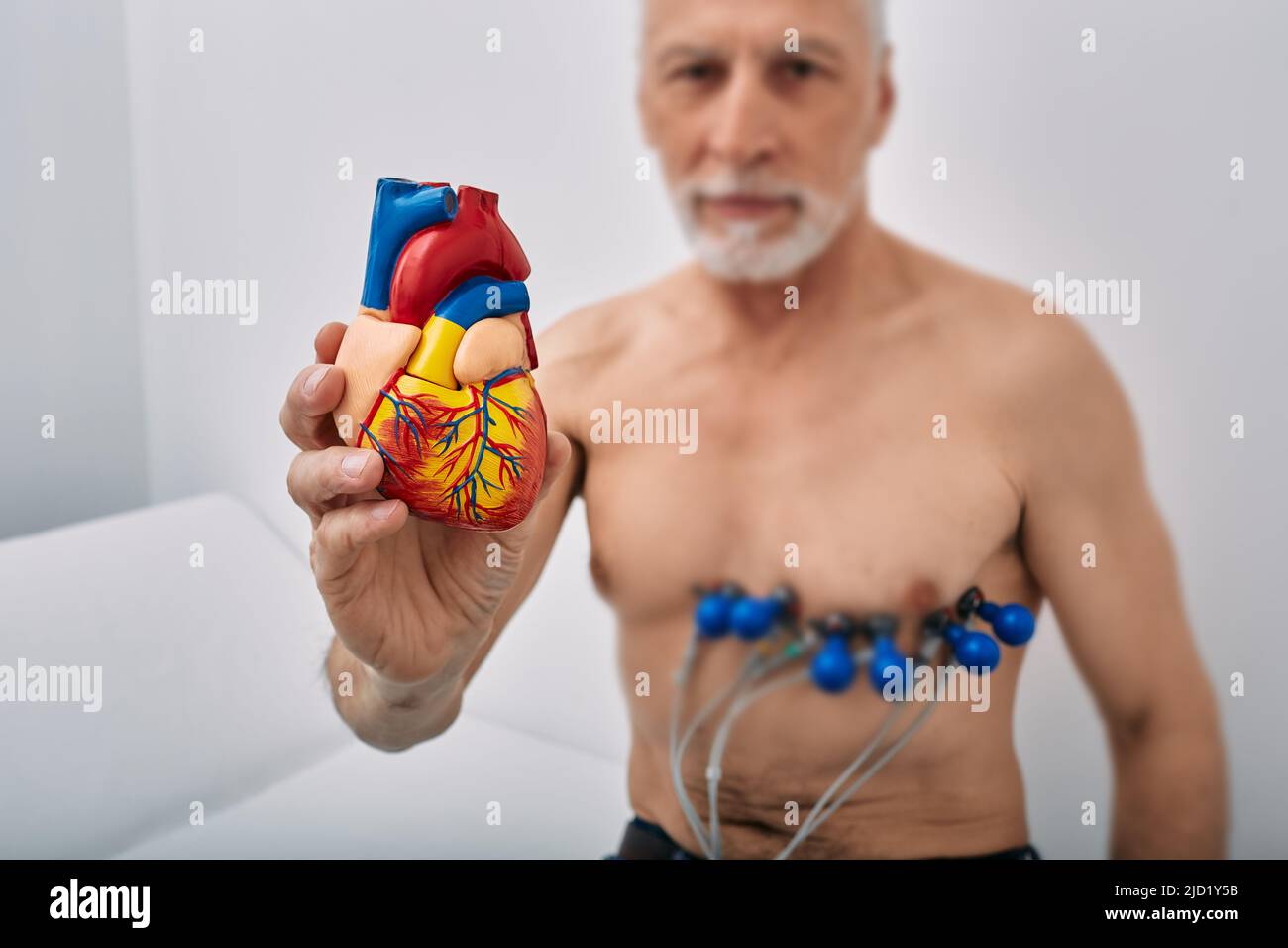 Concetto di salute del cuore, test cardiaci, cardiogramma. Uomo anziano durante il test cardiaco con sensori, tiene in mano il modello anatomico del cuore umano di fronte Foto Stock
