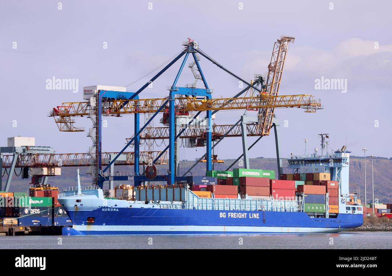 Belfast Container Terminal presso il porto di Belfast, Irlanda del Nord. Il principale porto di ingresso per gli scambi commerciali con la Gran Bretagna, l'UE e il mondo. Foto Stock