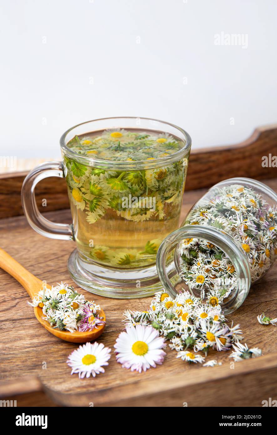 Pianta erboristica essiccata Daisy comune, anche noto come Bellis perennis. Fiori secchi in vaso di vetro e tè alle erbe in vetro, ancora interni Foto Stock