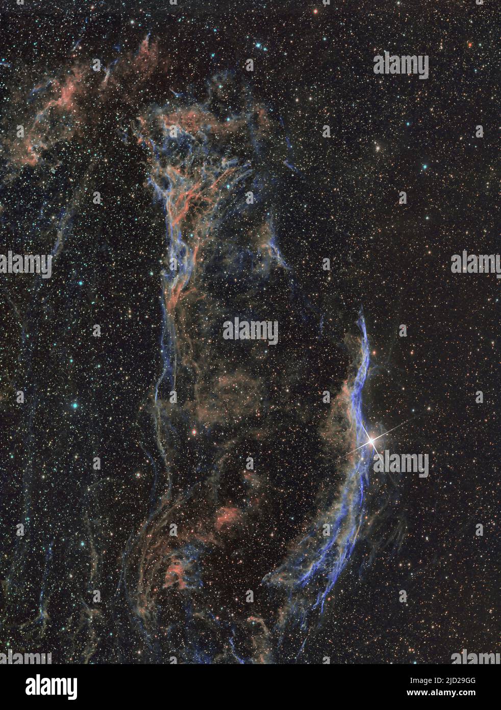 Western Veil (NGC 6960 o Caldwell 62) parte del Cygnus Loop nella costallazione Cygnus. Esposizione di 1213 x 180 secondi (5 ore) con ha, OII e SII fi Foto Stock