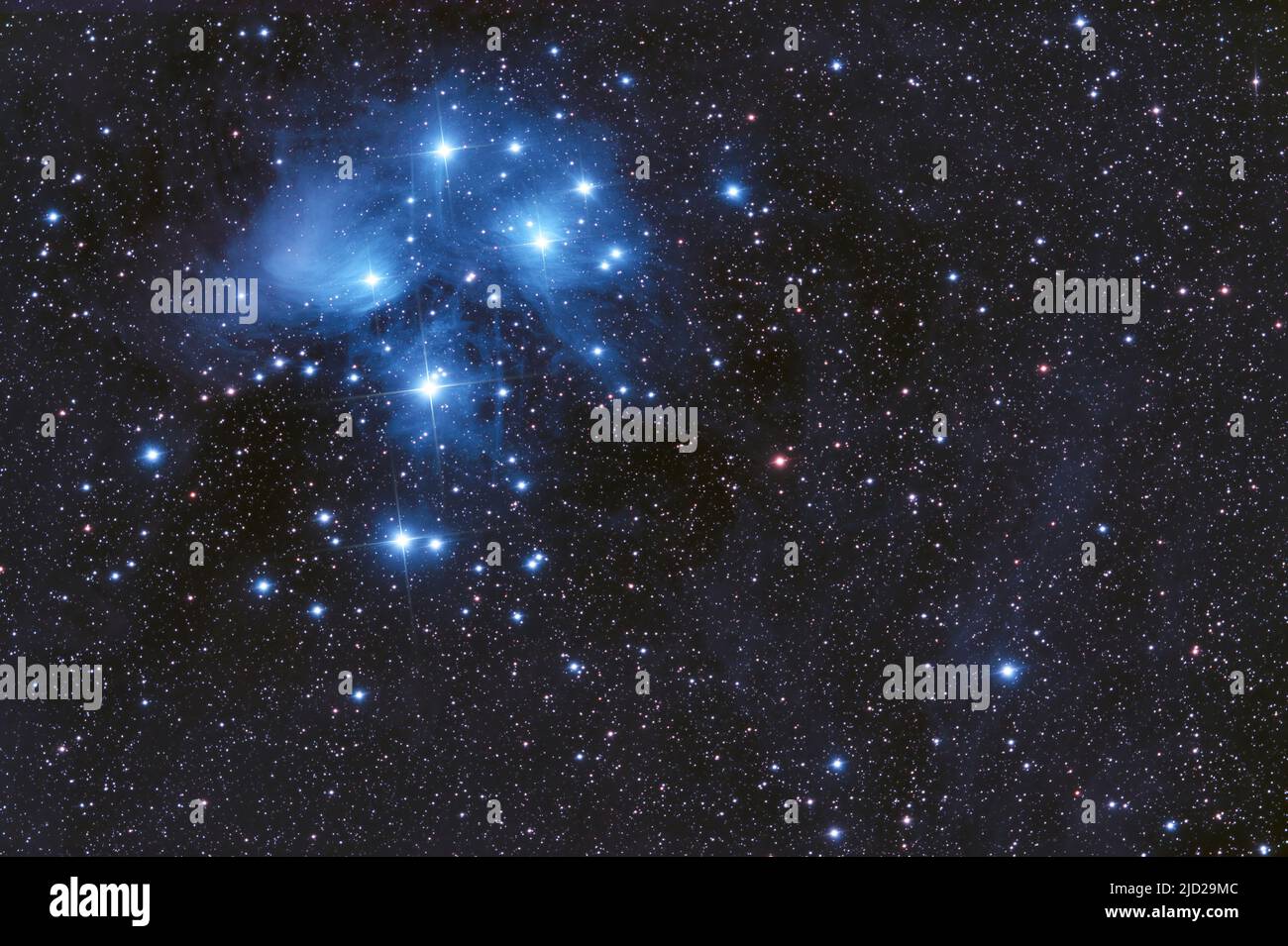 Le Pleiadi (Messier 45) nella costellazione del Toro. Foto Stock