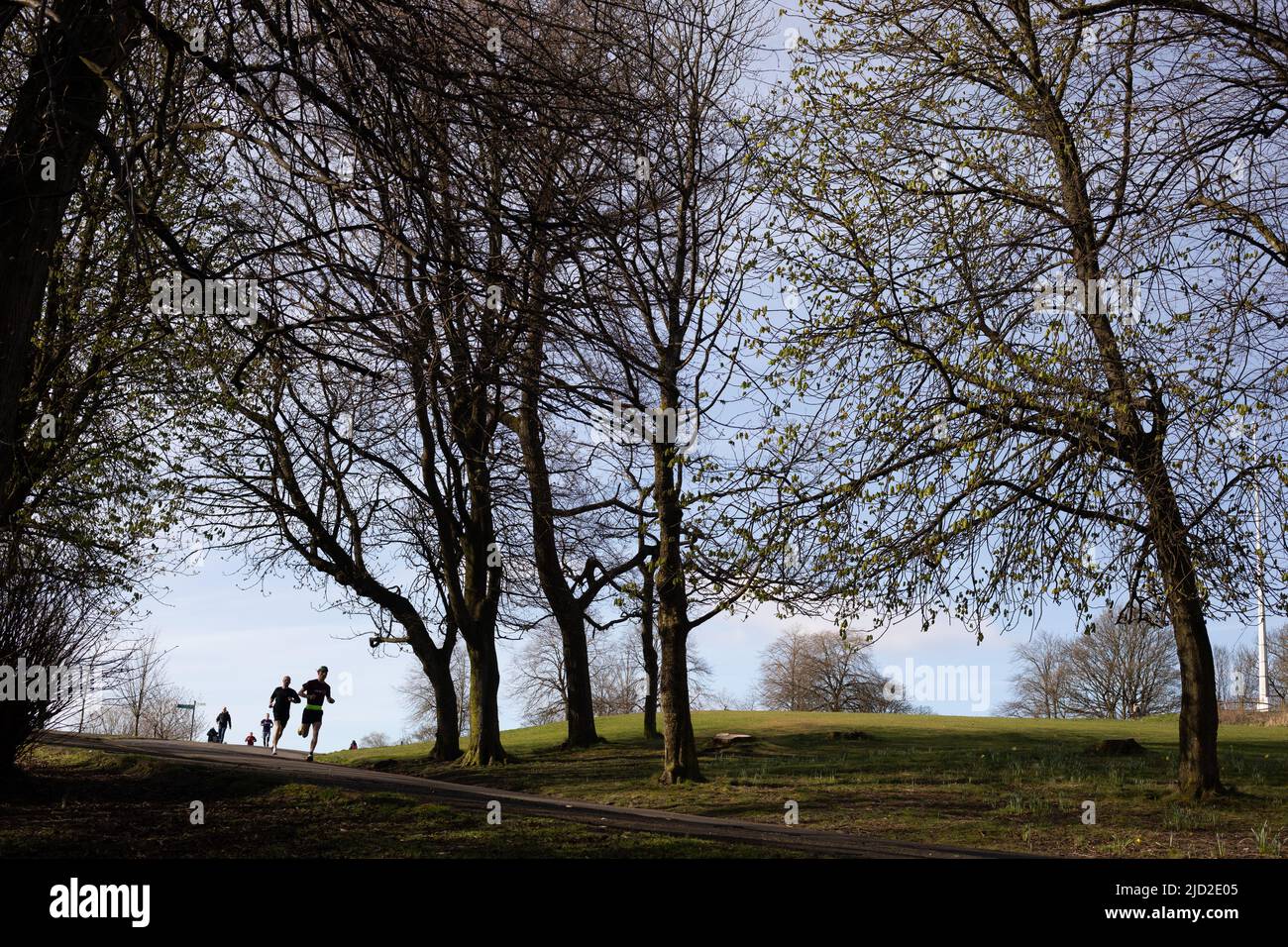 Parkrun 5km running event in Queen’s Park, Glasgow, Scozia, 9 aprile 2022. N55°49,902' W4°16,045' Foto Stock