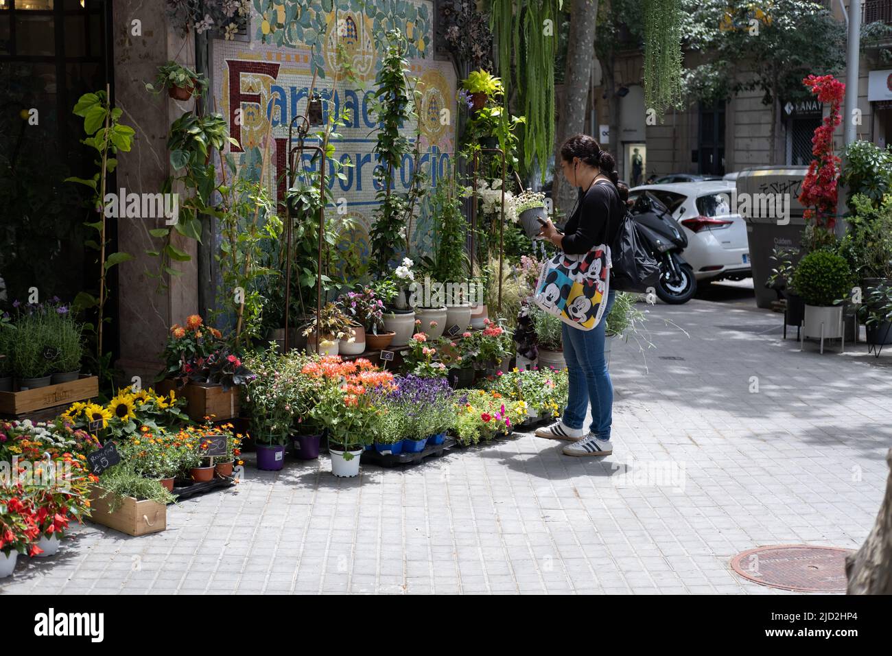 Un negozio fioraio a Barcellona, Spagna. Foto Stock