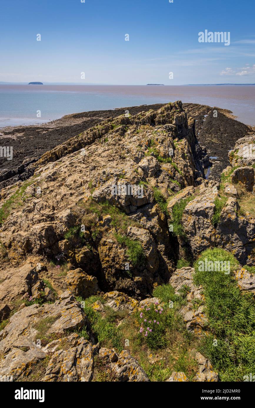 A ovest da Sand Point con Flat Holme Island sullo sfondo, Somerset, Inghilterra Foto Stock