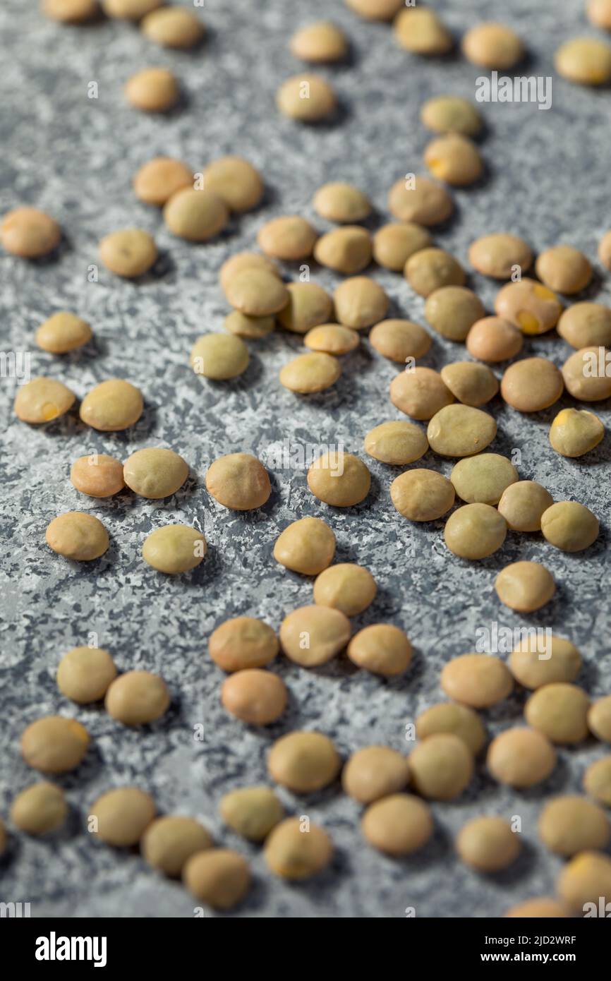 Legumi da lenticchie organici crudi e marroni in una ciotola Foto Stock