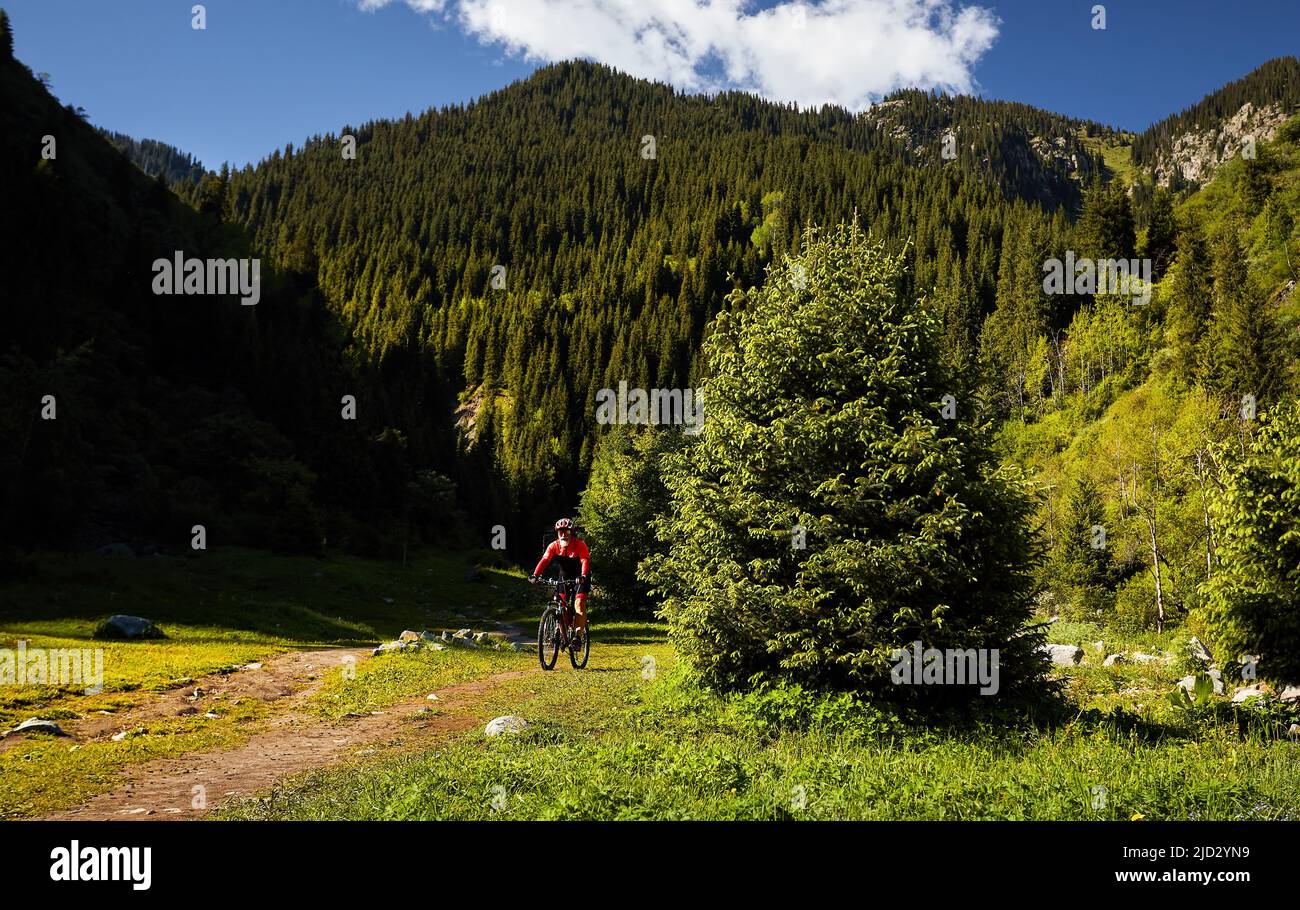 Il vecchio ciclista con barba bianca guida la sua mountain bike nella foresta di abete rosso verde in costume rosso ad Almaty, Kazakhstan. Sport estremi e ricrea all'aperto Foto Stock