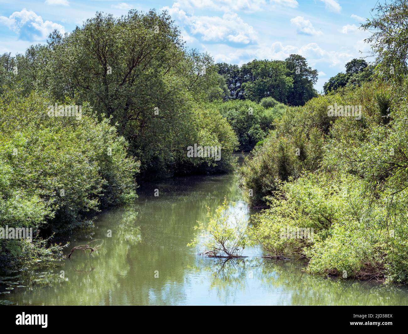 River Derwent a Wheldrake Ings, North Yorkshire, Inghilterra Foto Stock