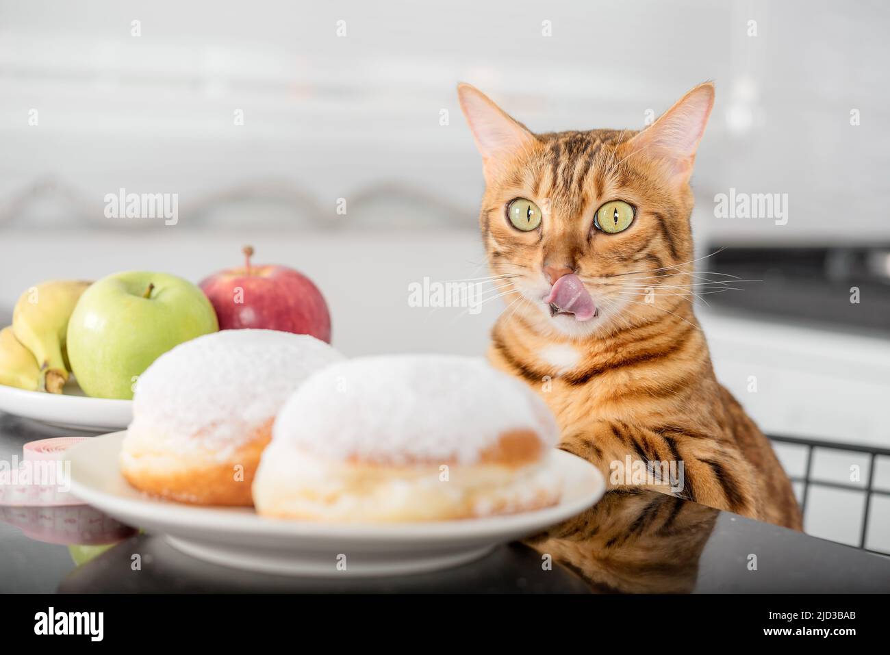 Il gatto lecca le labbra mentre guarda le ciambelle. La scelta tra cibo malsano e sano. Foto Stock