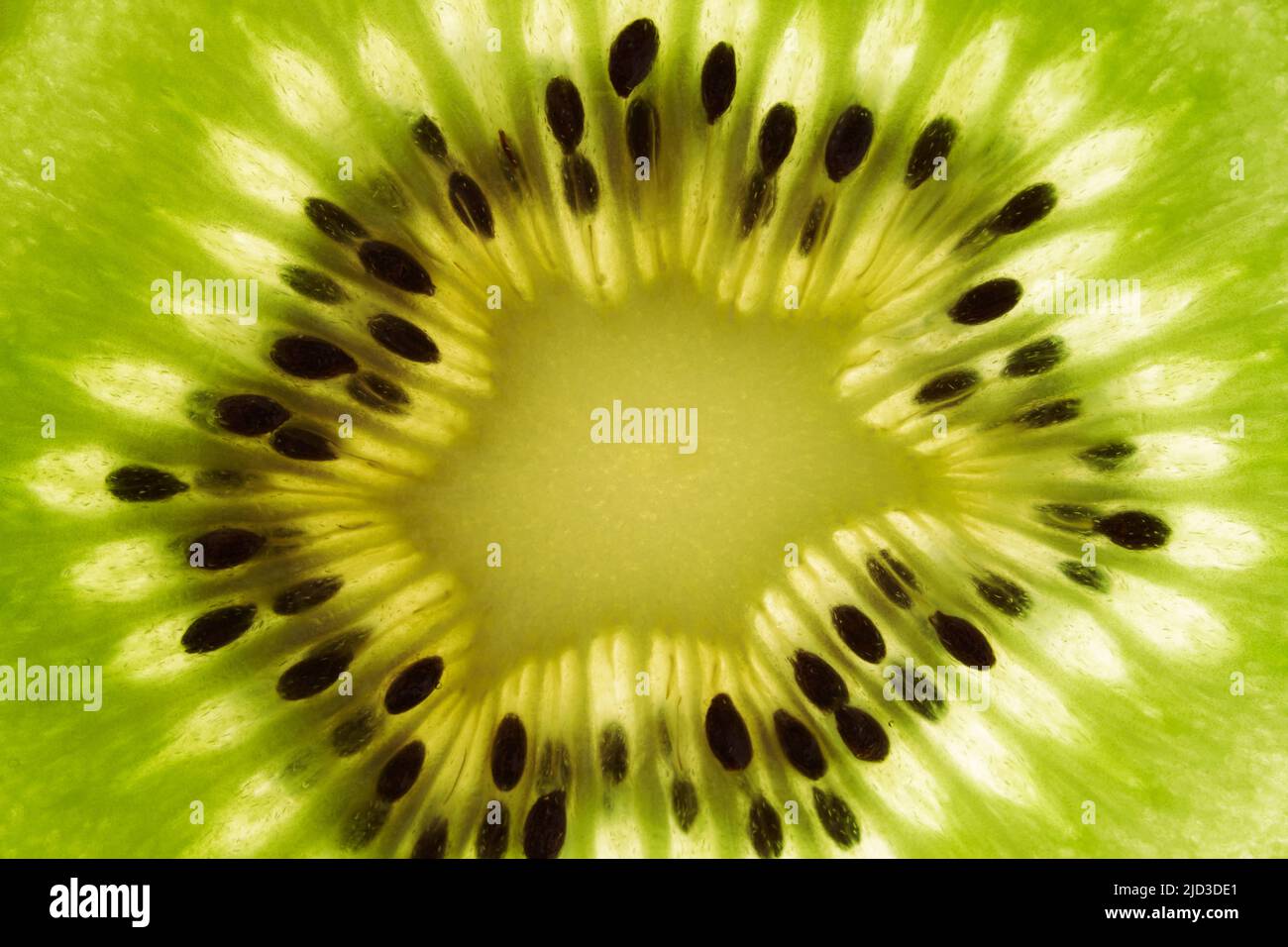 Primo piano di un pezzo di verde kiwi fresco maturo. Kiwi o cucina cinese a base di uva spina. Fetta fresca di frutta succosa con semi. Carta da parati con tessuto di frutta kiwi. Foto di alta qualità Foto Stock