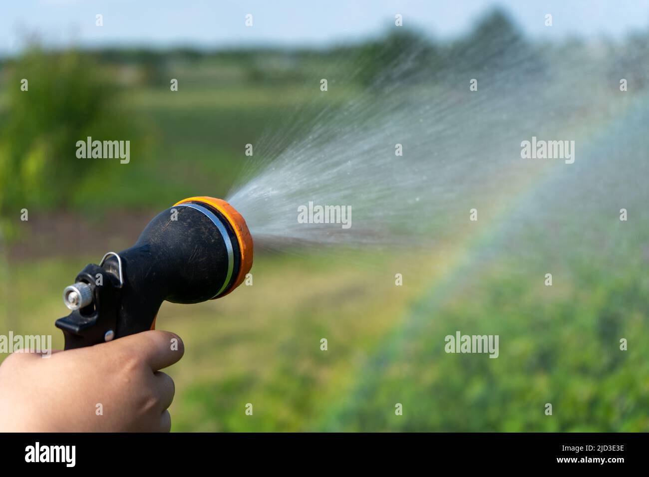 Mano che tiene un tubo di irrigazione. Innaffiare una cura di giardinaggio di piante concep. Foto Stock
