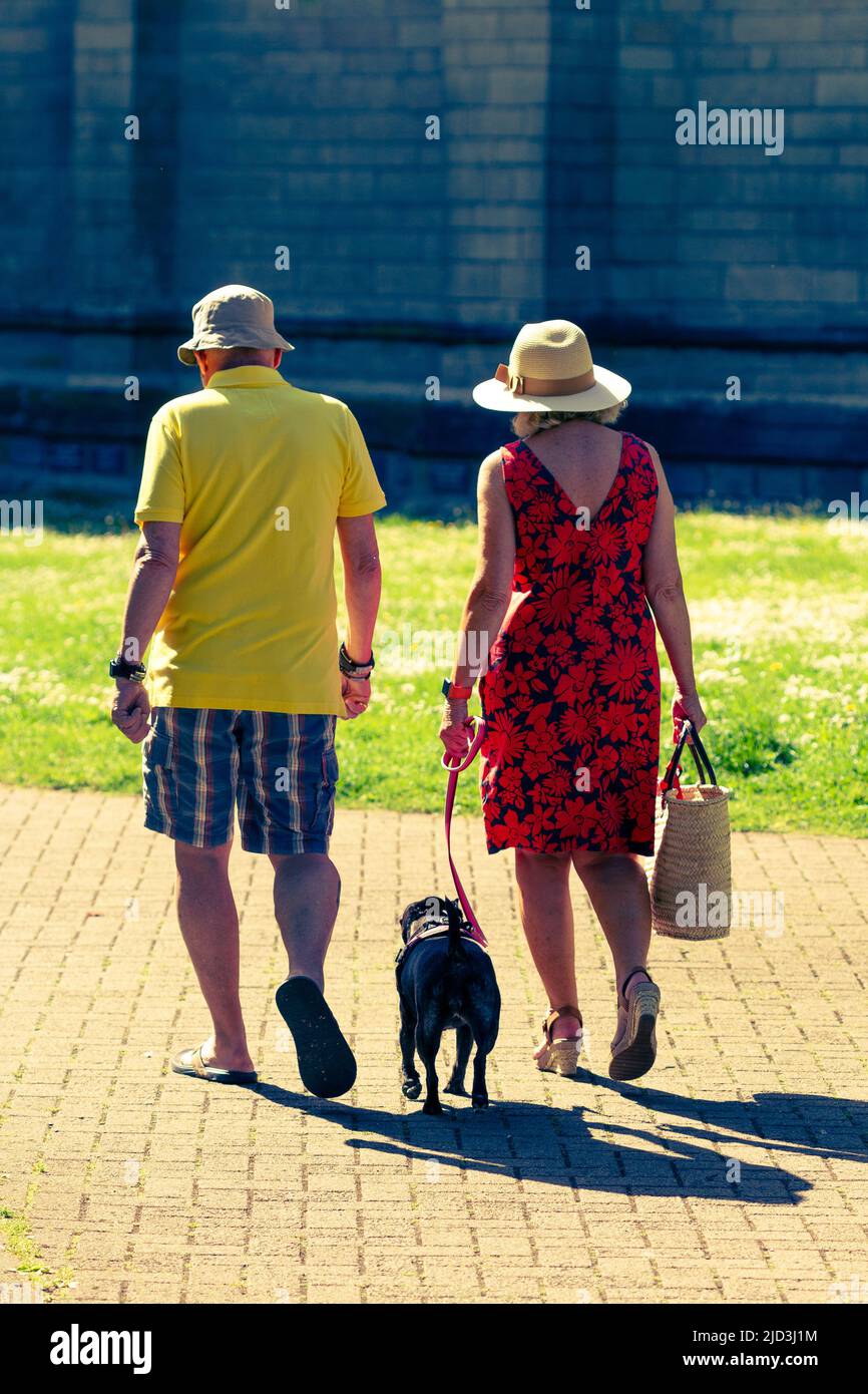 Vista posteriore di una coppia alla fine del 50; camminando il pug al sole Foto Stock