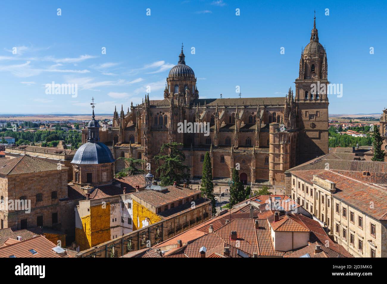 Cattedrale della città di Salamanca, in Spagna. Foto Stock