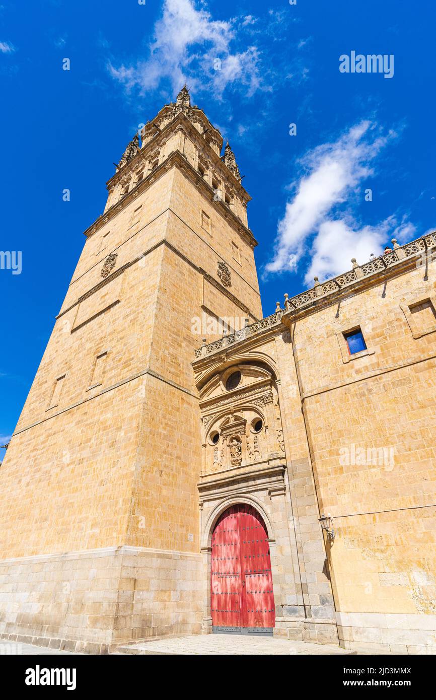 Facciata della Cattedrale della città di Salamanca, in Spagna. Foto Stock