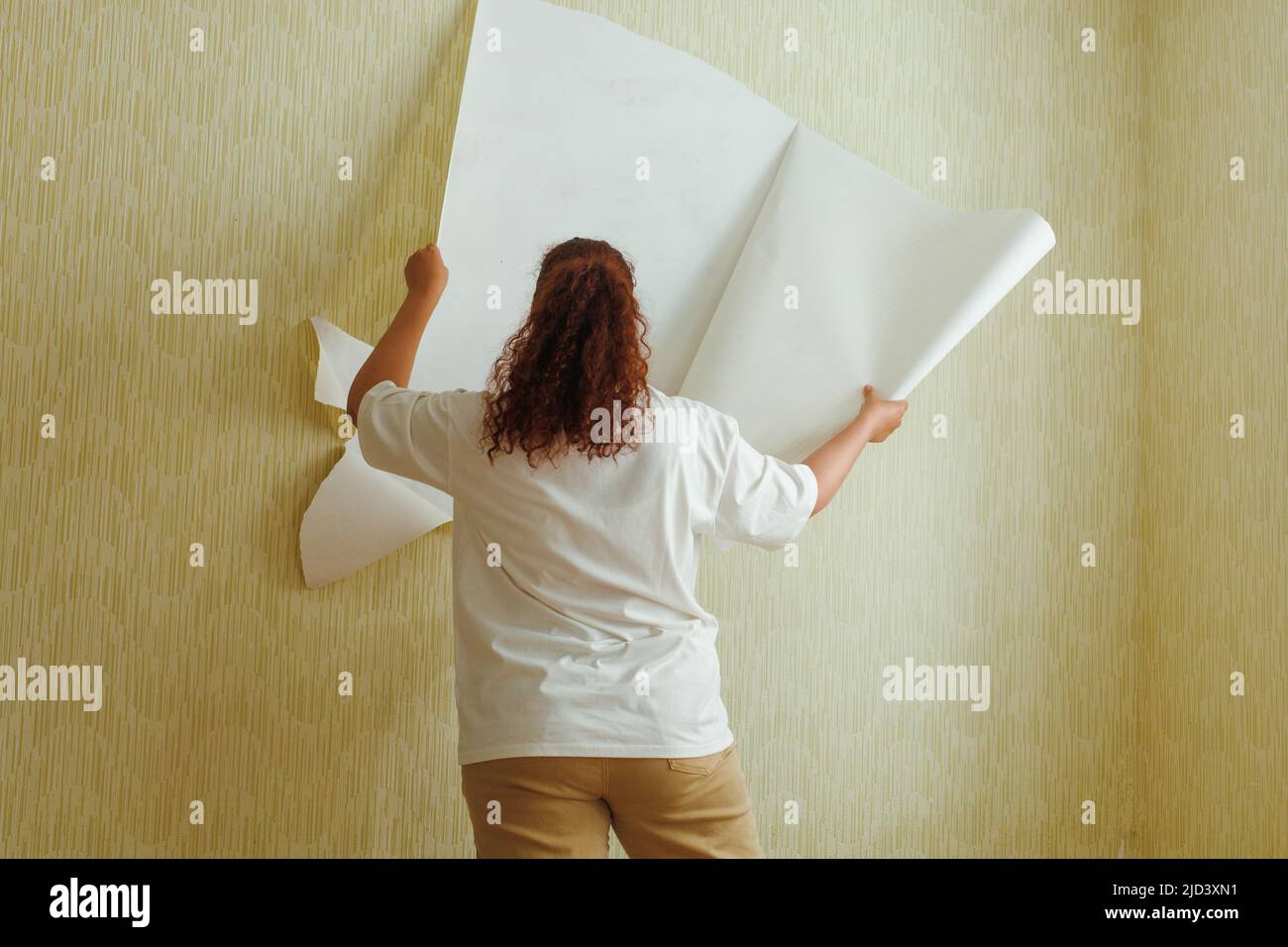 Vista posteriore di donna sovrappeso indossando T-shirt bianca, pantaloni beige, in piedi, strappando carta da parati gialla dalla parete. Foto Stock