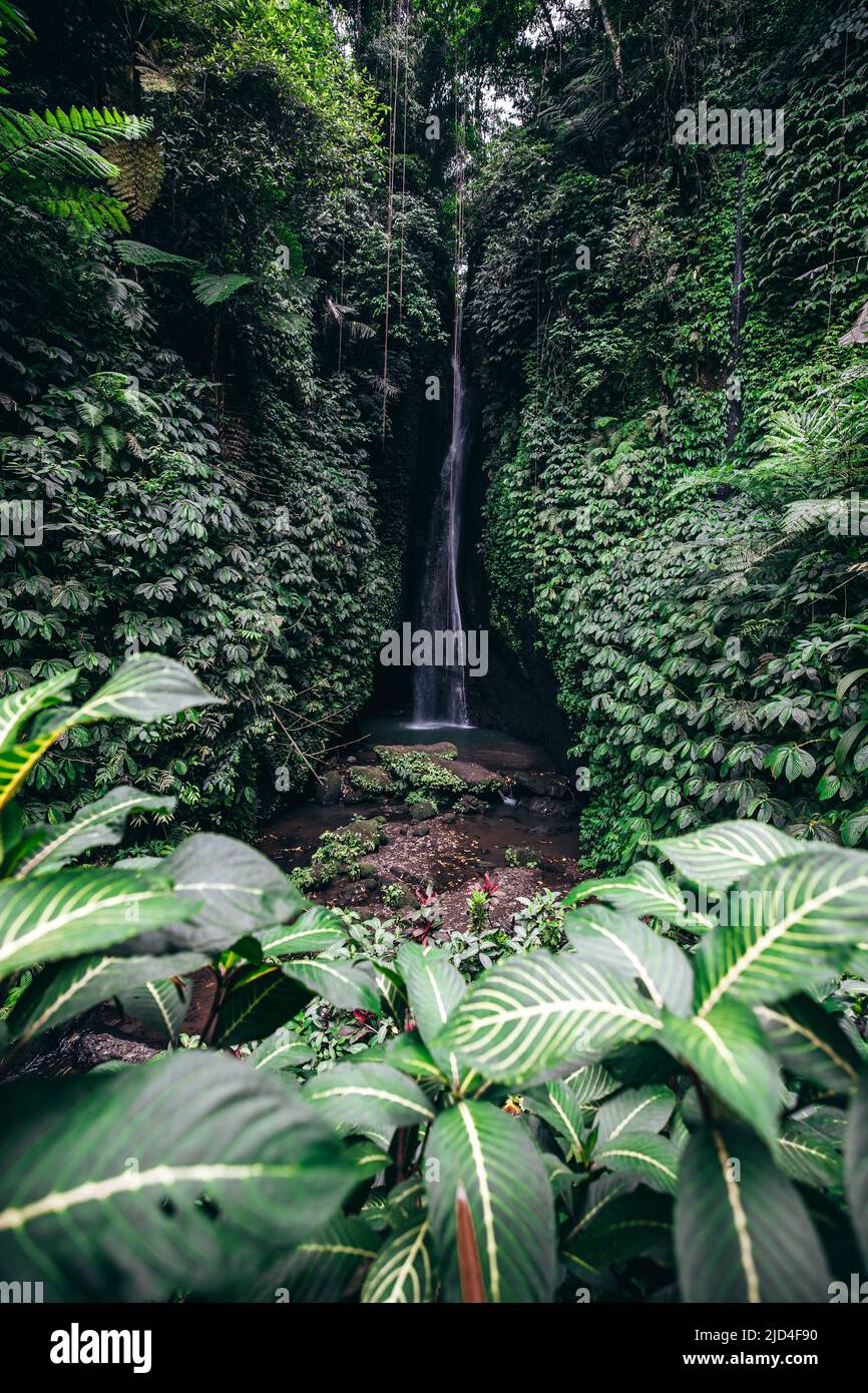 Ampio angolo di Leke Leke Waterfall nella giungla di Ubud Bali Indonesia Foto Stock