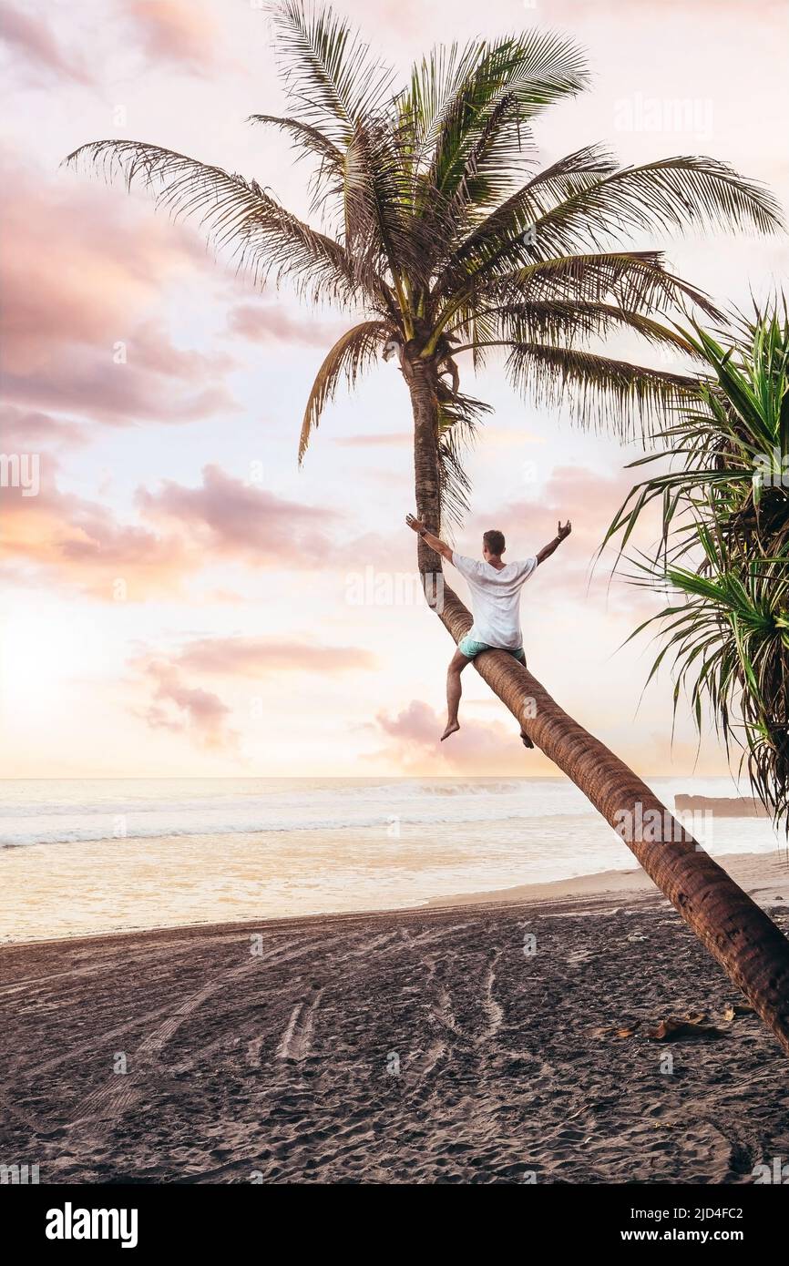 Giovane eccitato che sieta su un albero di cocco ricurvo in una spiaggia di sabbia nera a Bali durante il tramonto Foto Stock