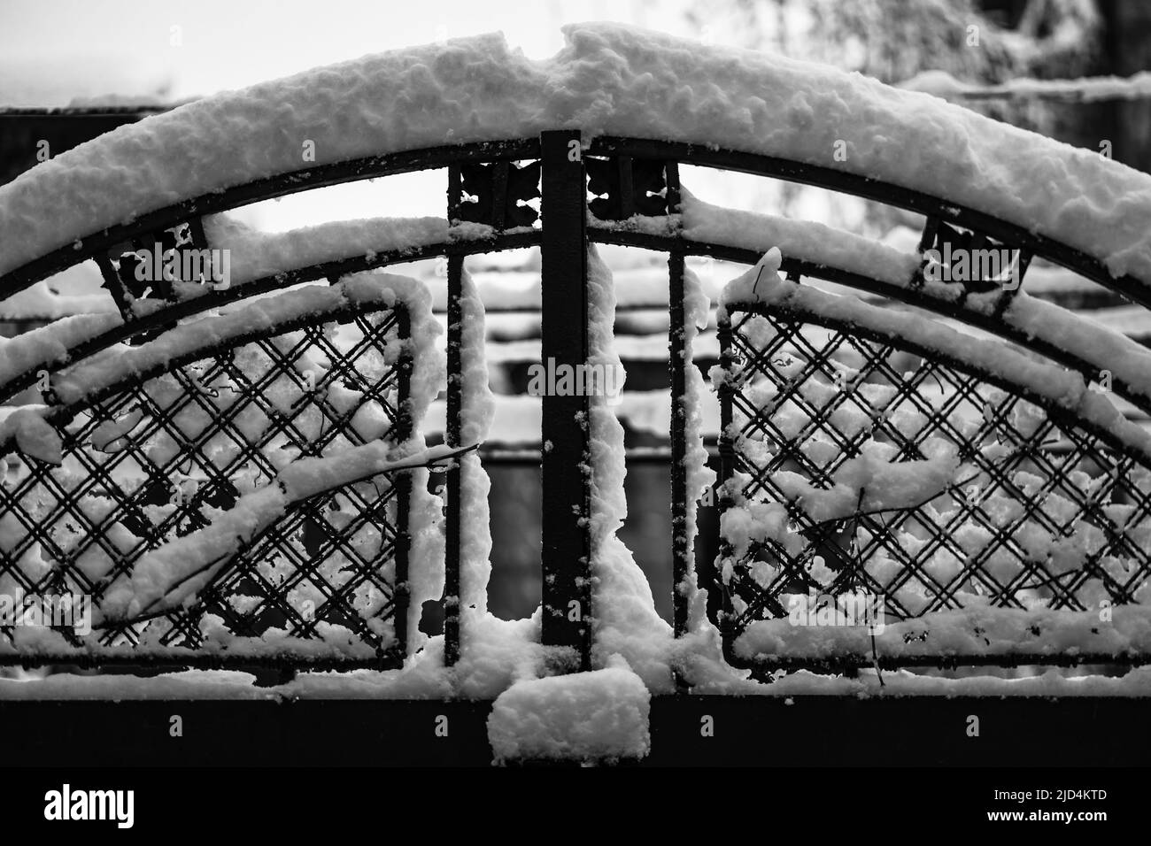Recinzione metallica e rete metallica con neve. Rete metallica in inverno coperta di neve. Foto Stock