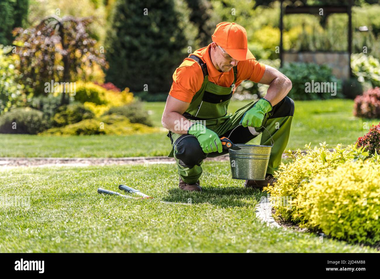 Giardiniere professionista che indossa il suo Giardinaggio Costume Pruning piante con forbici durante il lavoro di manutenzione e cura del giardino. Attrezzi di giardinaggio i Foto Stock
