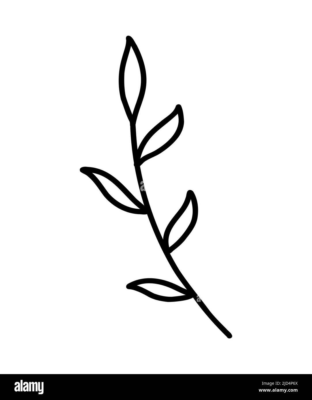 Icona ramo vettore. Ramo di albero. Icona del contorno di un ramo di albero, clip art, stile di doodle. Disegno a mano. Ramo decorativo floreale di una pianta con foglie. Illustrazione Vettoriale