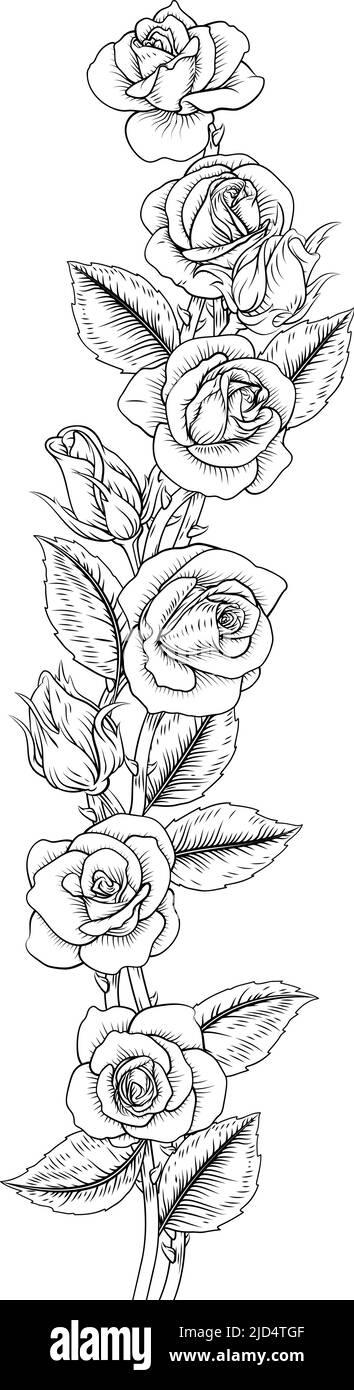 Roses Rose Flowers Design in vintage legno stile Illustrazione Vettoriale