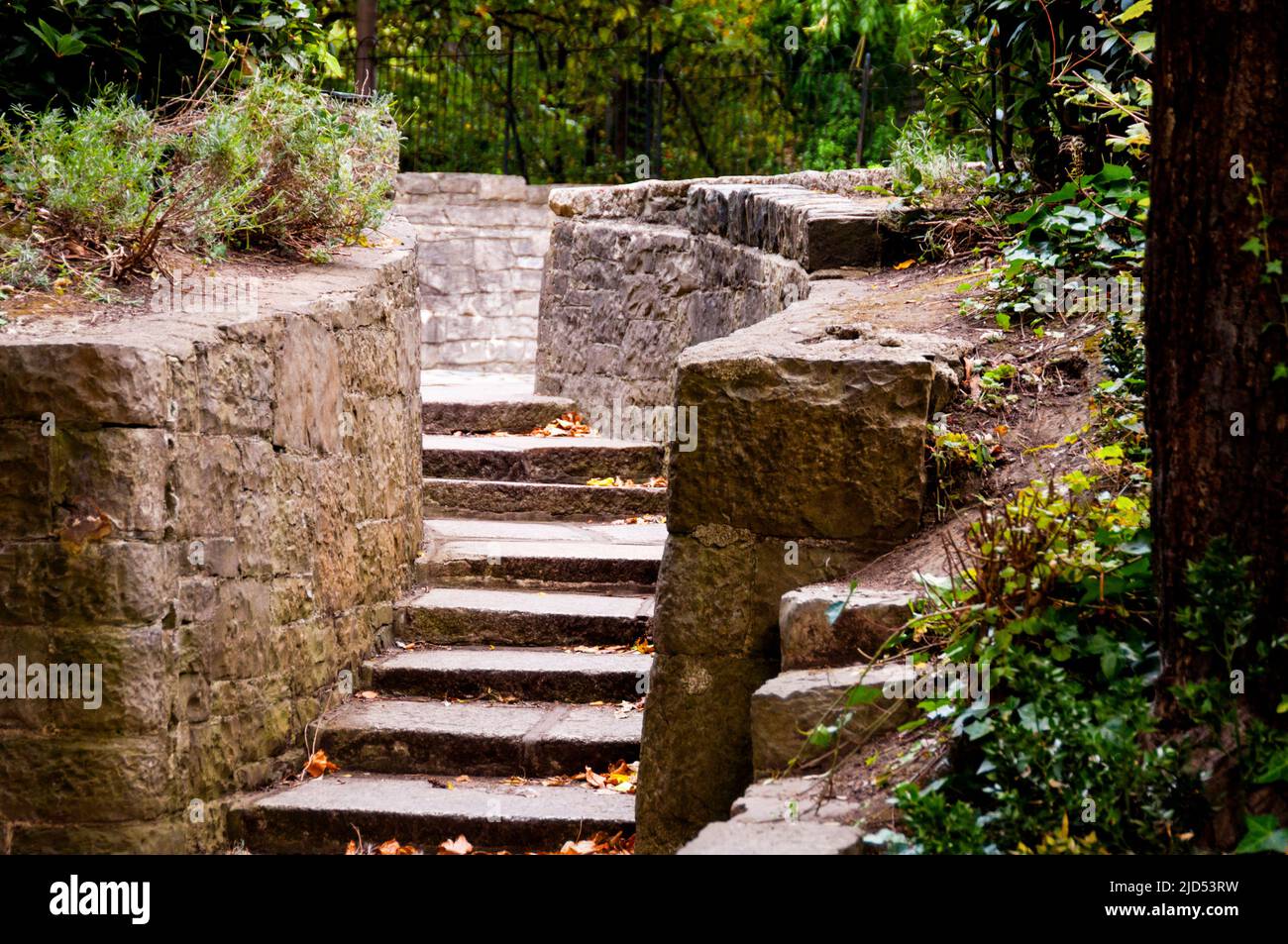 Passerella a St Stephens Green a Dublino, Irlanda. Foto Stock